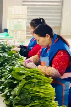 许昌食品加工配送